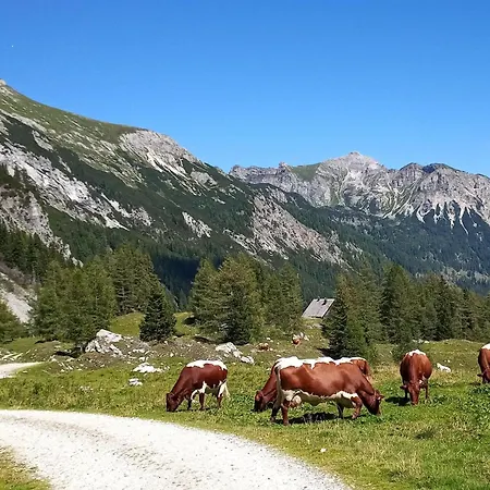 Wolfgangchalet C