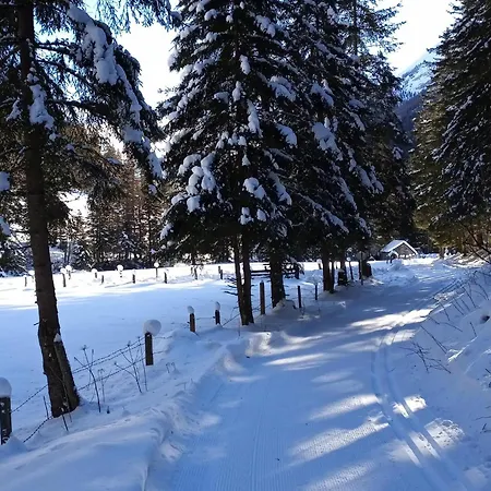 Alpehytte Wolfgangchalet C