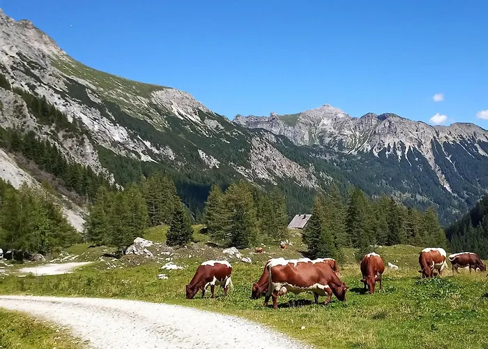 Wolfgangchalet C