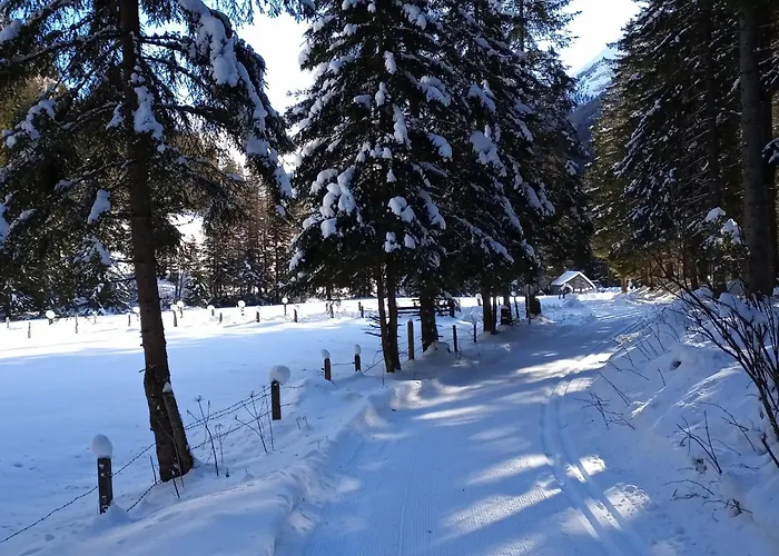 Domek alpejski Wolfgangchalet C